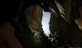 洞穴在线观看,在线观看之旅